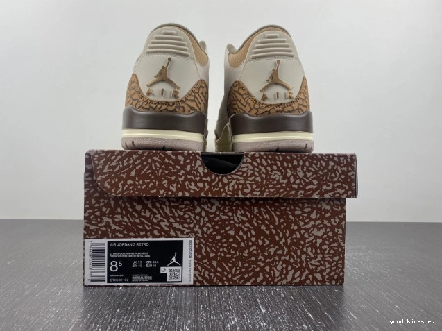 Palomino 3 Air CT8532-102 Jordan 0706